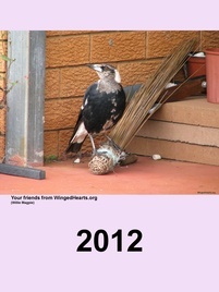 Calendar cover