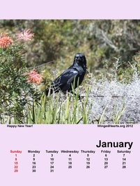 Jan-09