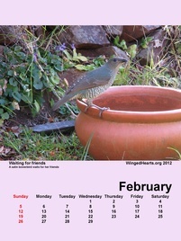 Feb-09