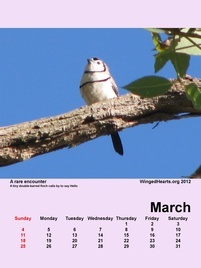 Mar-09