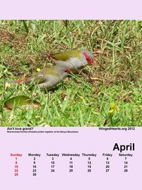 Apr-09