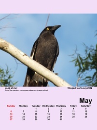 May-09