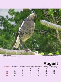 Aug-09