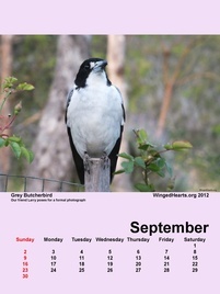 Sep-09