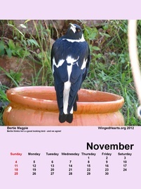 Nov-09