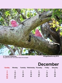 Dec-09